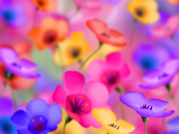  (600x450, 144Kb)