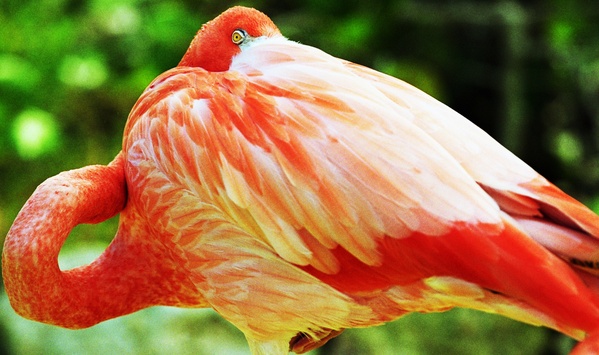  (599x355, 112Kb)
