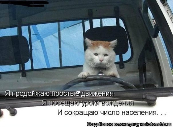  (604x443, 52Kb)
