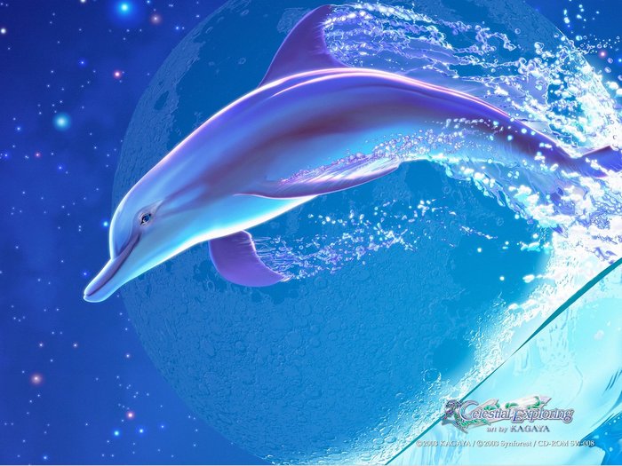  (700x525, 84Kb)