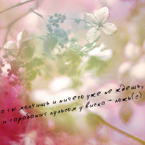  (500x500, 114Kb)