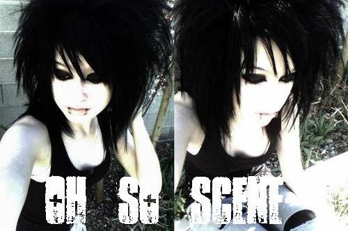  (500x332, 40Kb)