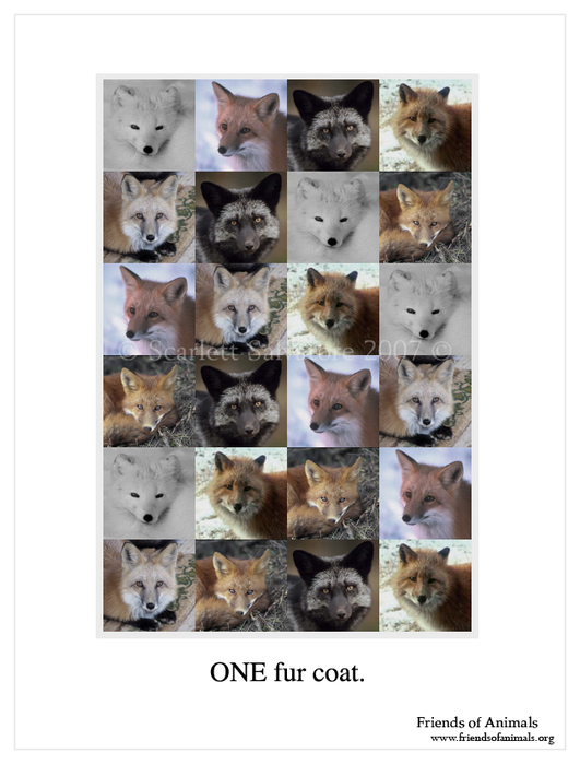  (531x699, 213Kb)