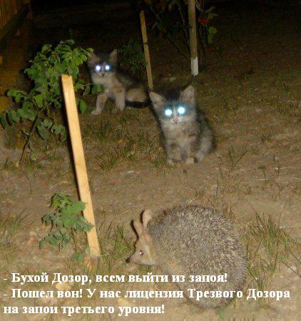  (422x450, 55Kb)