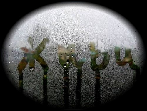  (500x377, 53Kb)