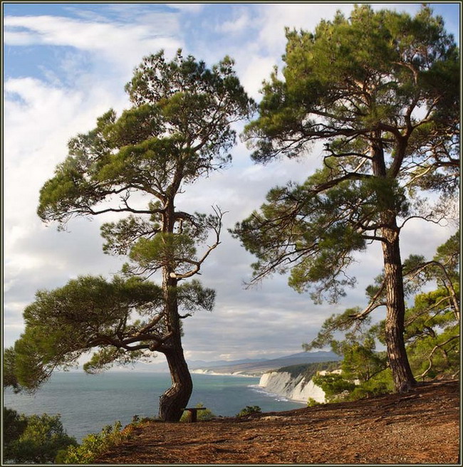  (650x656, 178Kb)