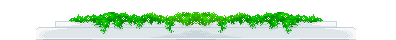  (396x40, 2Kb)