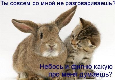  (400x280, 45Kb)