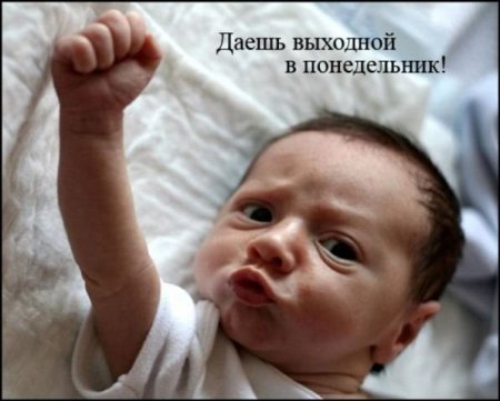  (450x361, 29Kb)