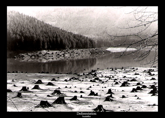  (700x500, 344Kb)