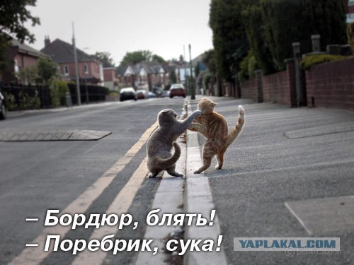  (500x375, 43Kb)