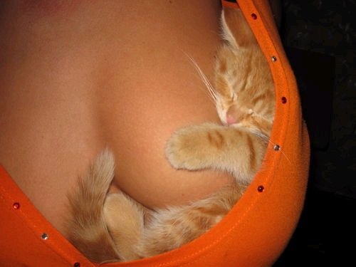 lucky (500x375, 24Kb)