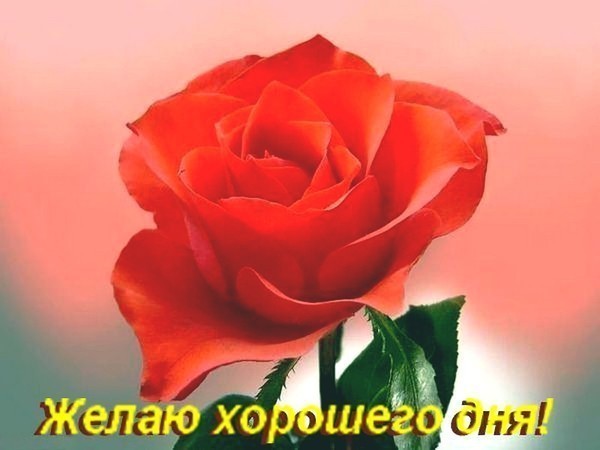  (600x450, 41Kb)