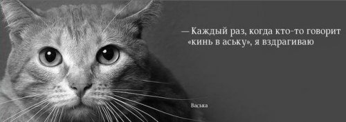  (500x177, 18Kb)