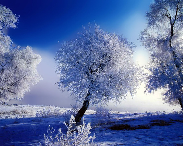 8371726_winter11280 (700x560, 175Kb)