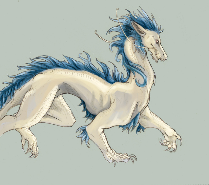 http://img0.liveinternet.ru/images/attach/c/0/37/132/37132129_1230073384_Albino_Dragon_by_Rhynn.jpg