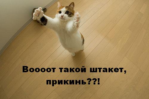  (500x333, 24Kb)