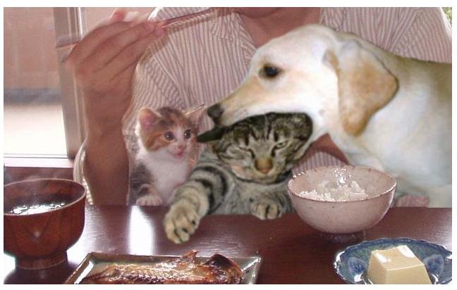 (648x412, 42Kb)