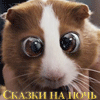 1229907454_000gpbhk (100x100, 12Kb)