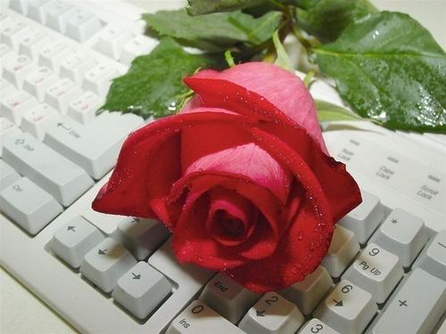  (500x375, 32Kb)