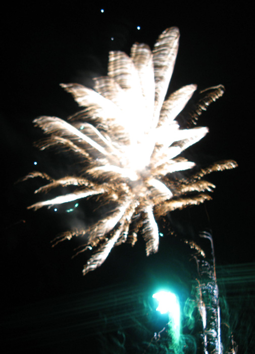 IMG_2416 (505x700, 119Kb)