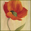  (100x100, 15Kb)