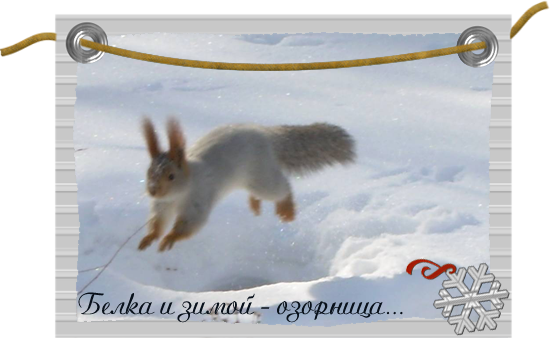  (550x338, 170Kb)