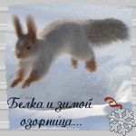  (150x150, 42Kb)