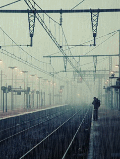 19021733_17039341_Animation1 (242x320, 200Kb)