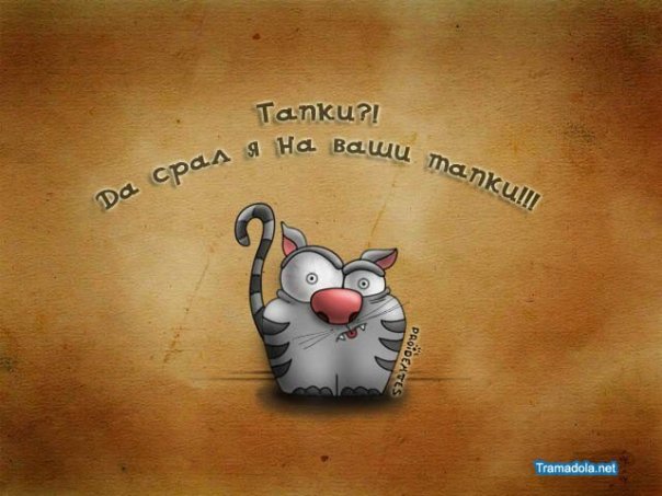 (604x453, 51Kb)