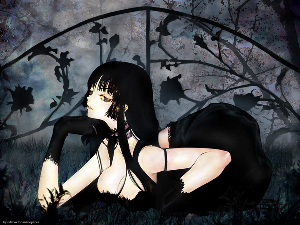  (600x450, 267Kb)