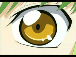  (256x192, 449Kb)