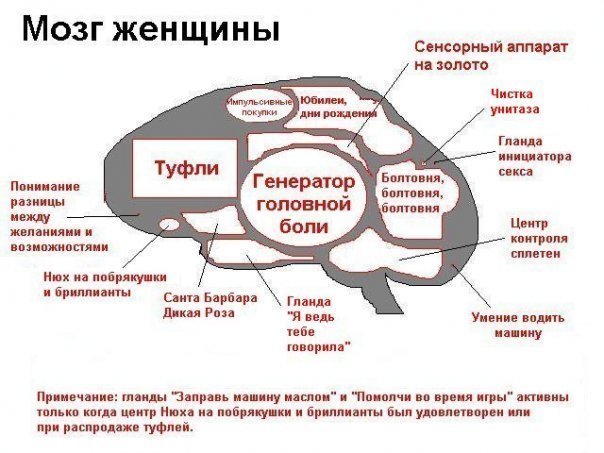  (604x453, 57Kb)