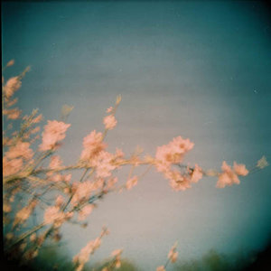  (300x300, 16Kb)