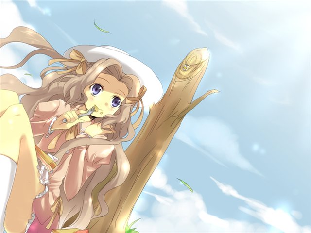  (640x480, 44Kb)