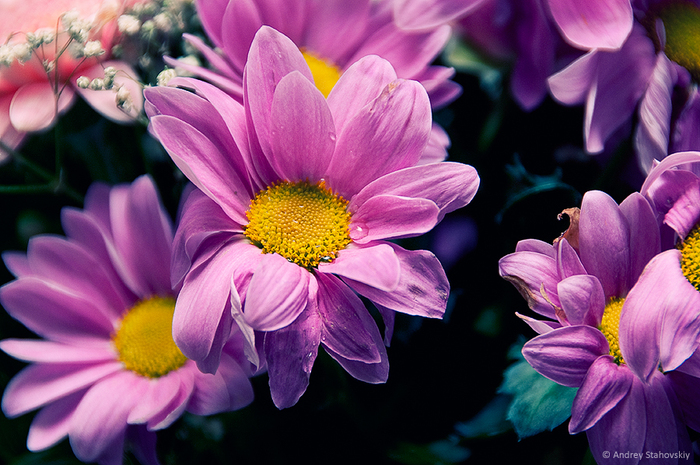  (700x465, 365Kb)
