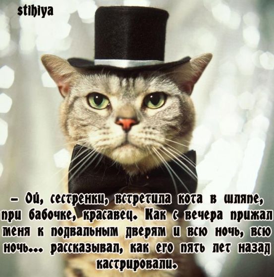 http://img0.liveinternet.ru/images/attach/c/0/38/602/38602097_img_1489.jpg