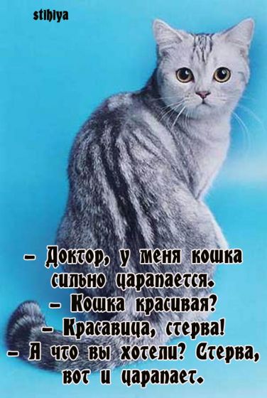 http://img0.liveinternet.ru/images/attach/c/0/38/602/38602128_img_1483.jpg