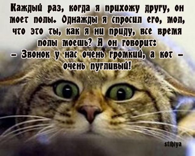 http://img0.liveinternet.ru/images/attach/c/0/38/602/38602180_1482.jpg