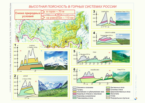 Высотная поясность алтая презентация