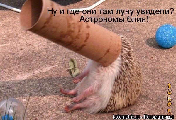  (600x409, 64Kb)