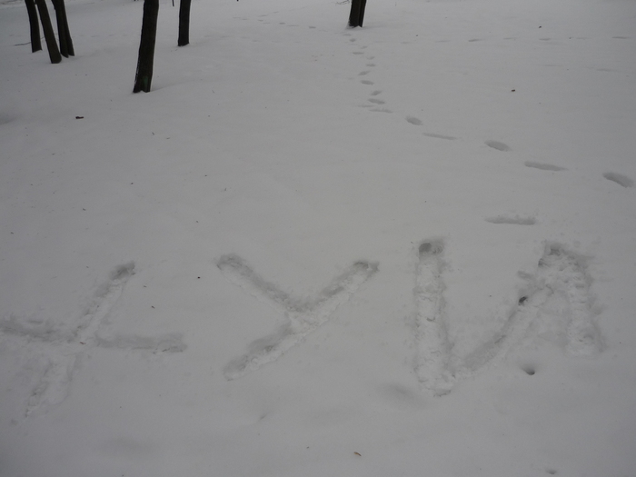 Снег егоров текст. Надпись на снегу. Послание на снегу. Надписи на снегу Мем. Надпись на снегу мочой.