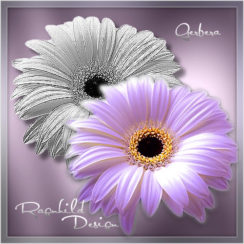  (500x500, 81Kb)