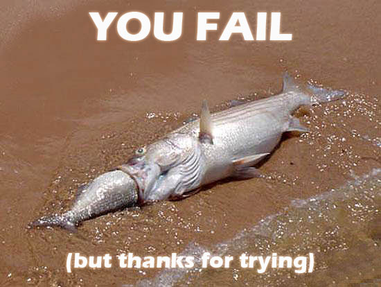  (550x414, 45Kb)