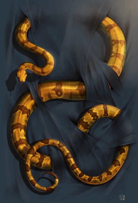  (476x699, 45Kb)