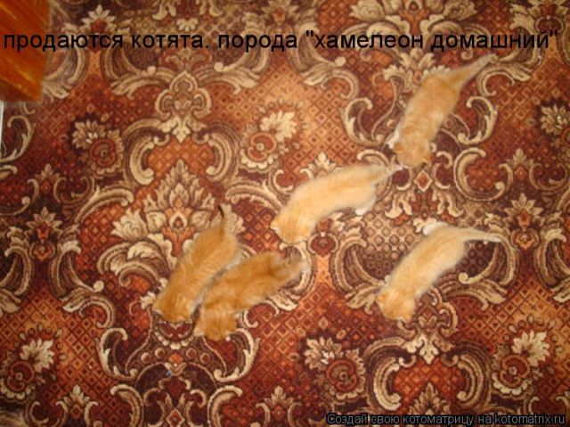  (640x479, 77Kb)