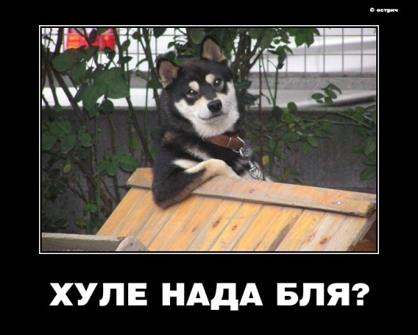  (600x480, 48Kb)