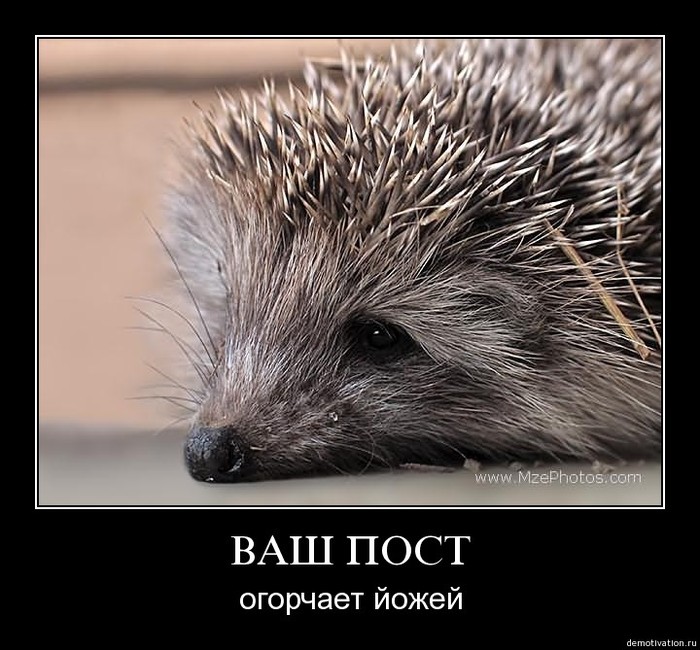  (700x650, 110Kb)