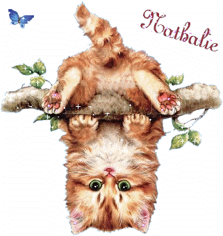  (321x340, 120Kb)