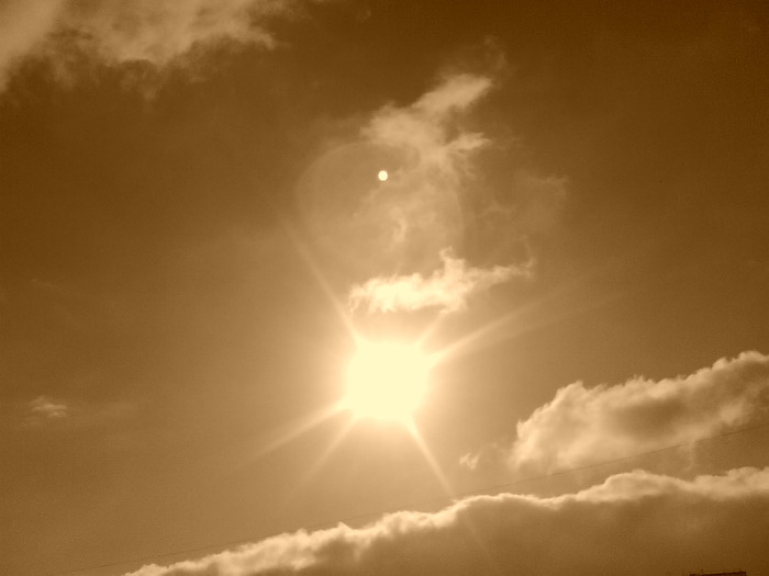 DSC00407 (700x525, 42Kb)